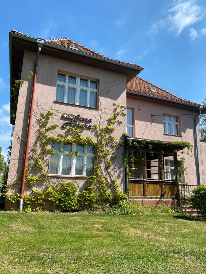 Villa Stara Apteka Srebrna Góra Zewnętrze zdjęcie